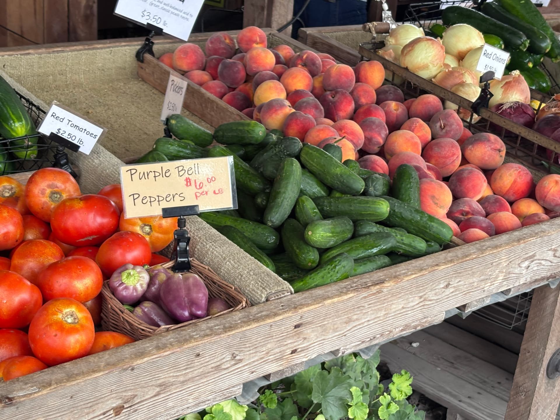 Me & McGee Market: The Roadside Stand Worth the Drive Out US-70 - photo 3