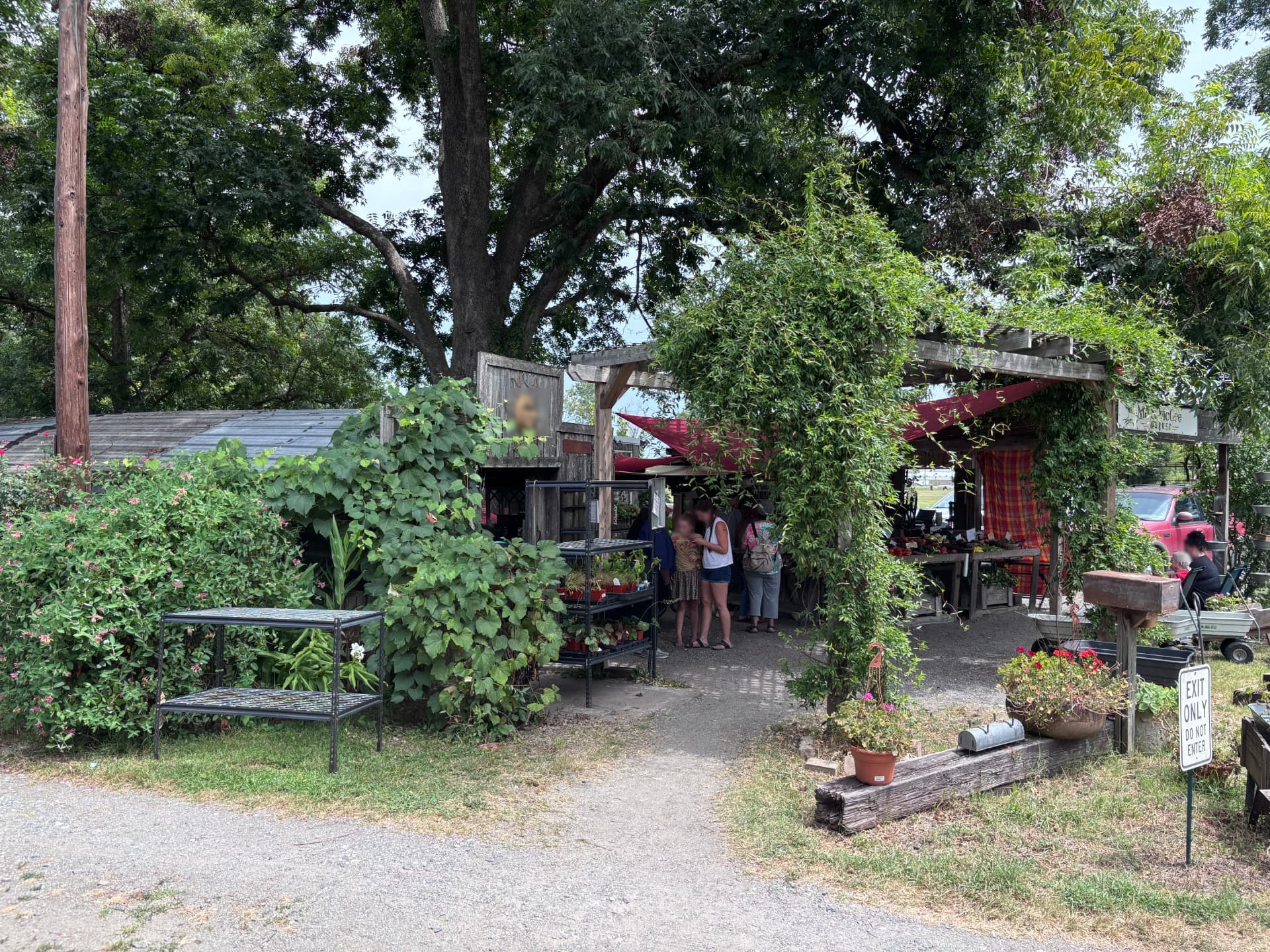 Me & McGee Market: The Roadside Stand Worth the Drive Out US-70 - photo 2